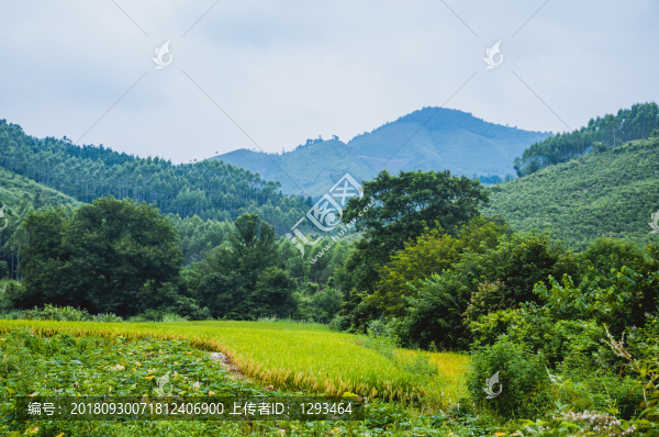 山嶺風(fēng)光