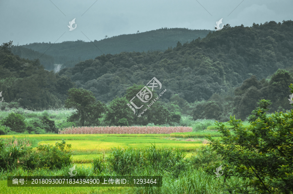 山嶺風光