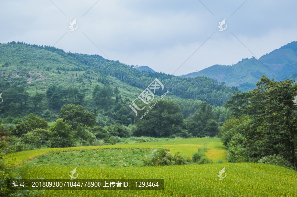 山嶺風(fēng)光