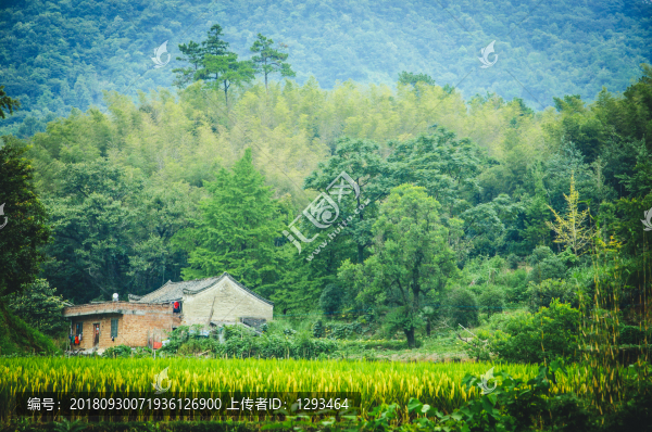 山林風(fēng)光