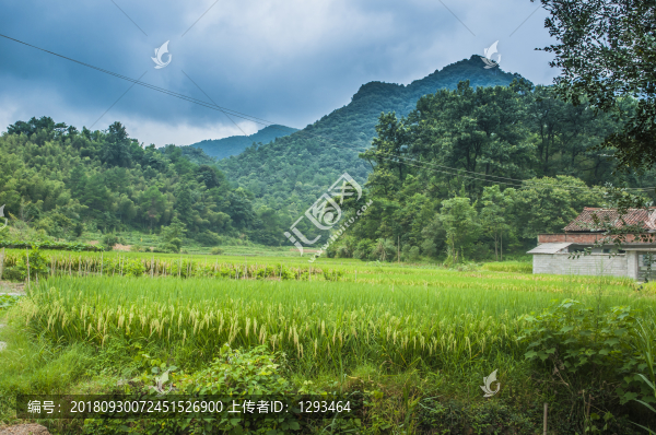 山村風(fēng)光