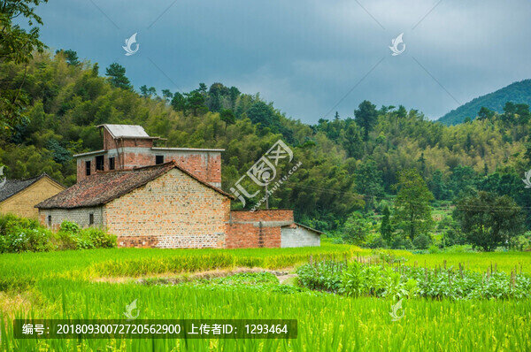 山嶺風光