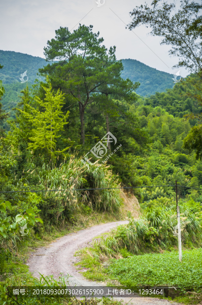 鄉(xiāng)村綠道