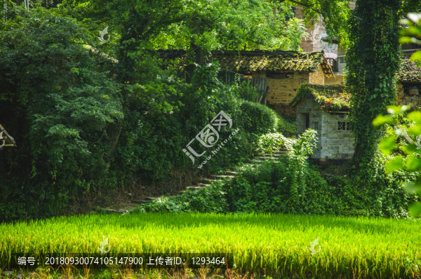 山林與小屋