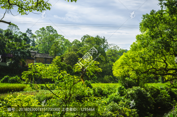 山林小屋