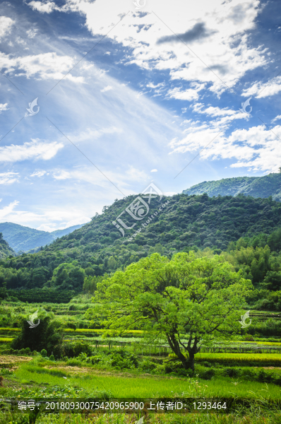 山野風(fēng)光