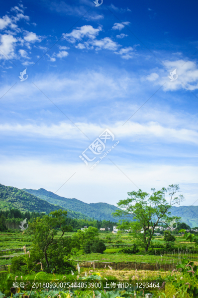 山野風(fēng)光