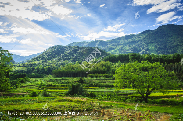 山野風(fēng)光