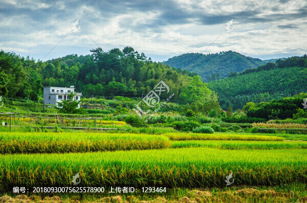 山野風(fēng)光