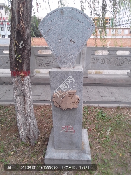 雞