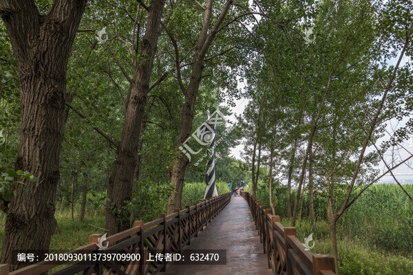 南京魚嘴濕地公園風(fēng)光