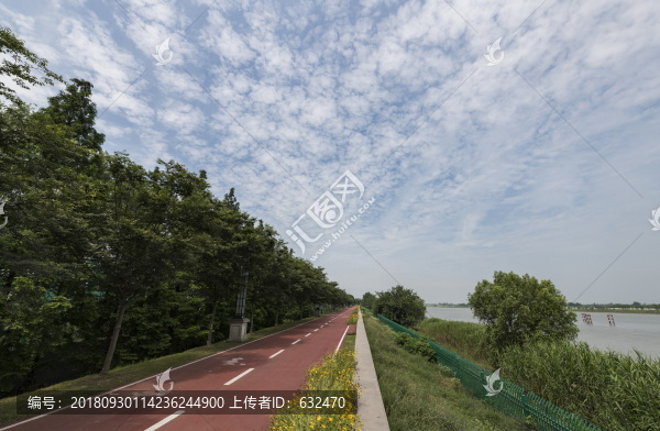 南京魚(yú)嘴濕地公園風(fēng)光