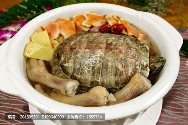 土茯苓燉龜