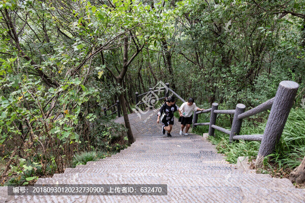 紫金山風(fēng)光