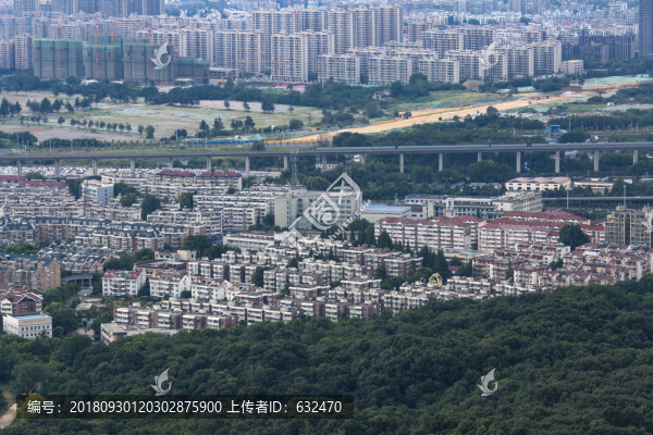 紫金山上看南京