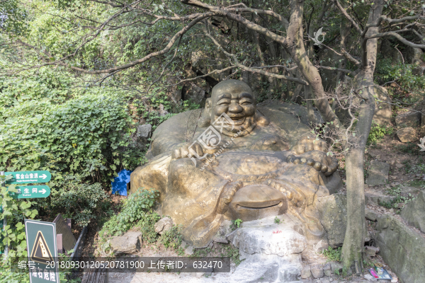 紫金山風光