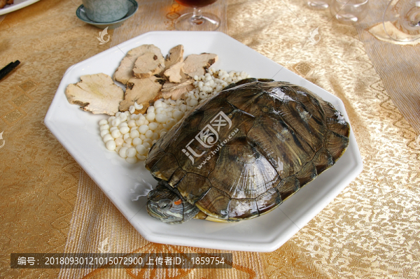 土茯苓燉龜