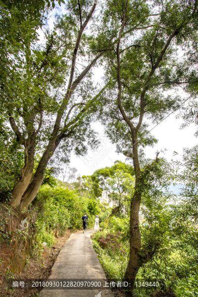 山間小路