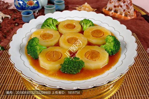 玉環(huán)瑤柱甫