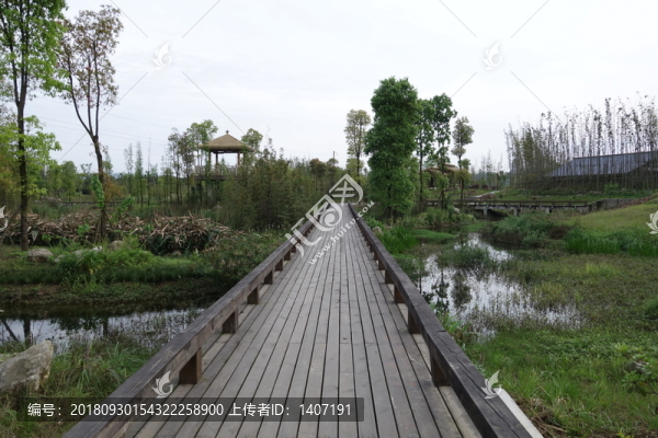 眉山濕地公園
