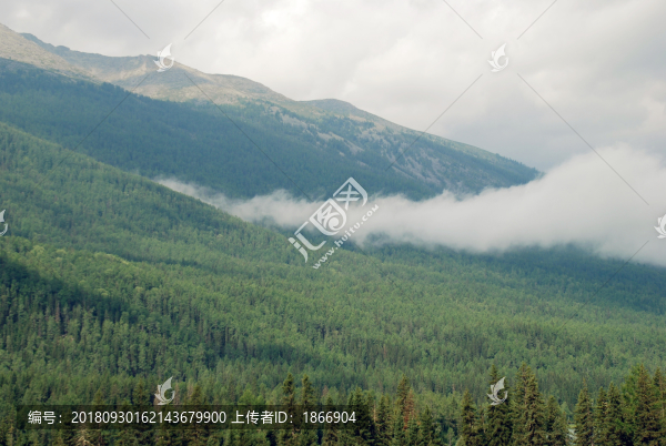 阿爾泰山牧場美麗風(fēng)光