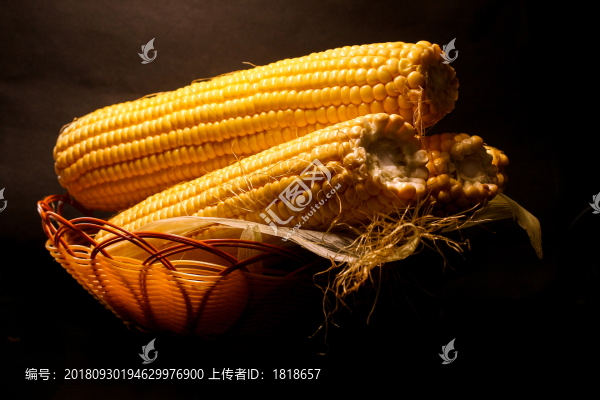 玉米