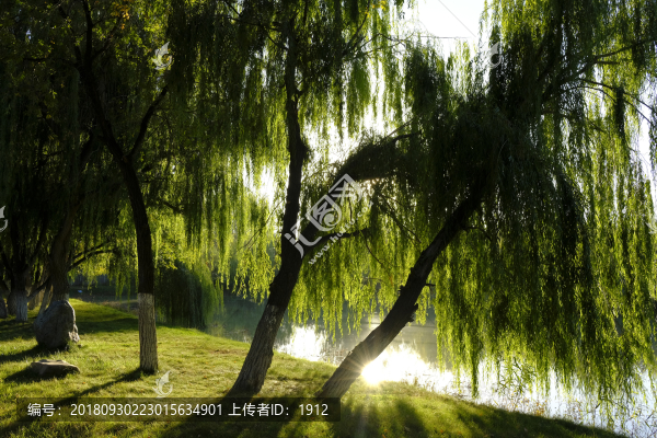 秋景