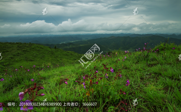 貴州高坡云頂苗寨