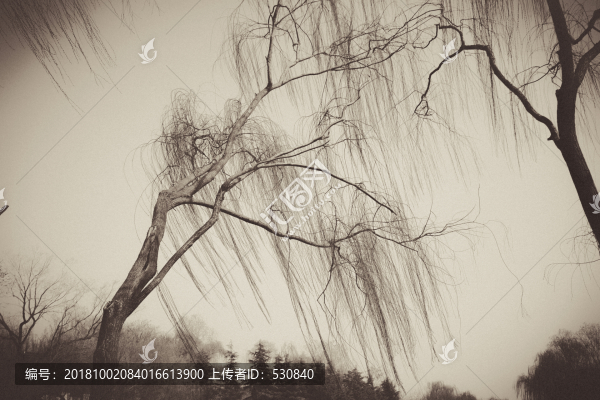 濟(jì)南復(fù)古老照片