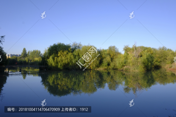 秋水