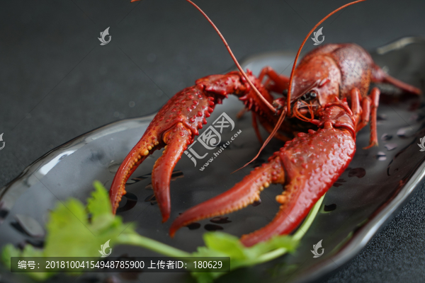 小龍蝦