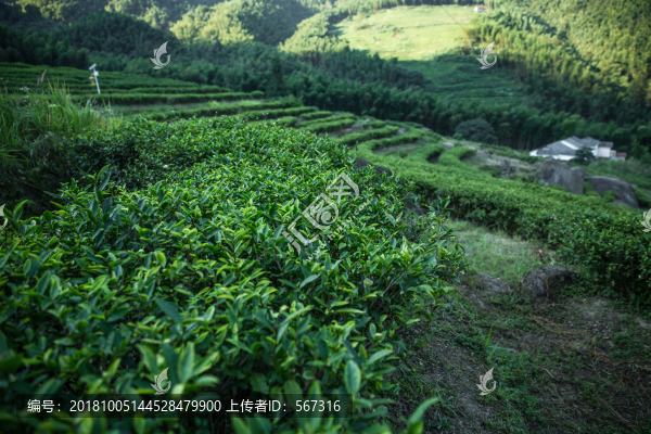 宜春南惹古村