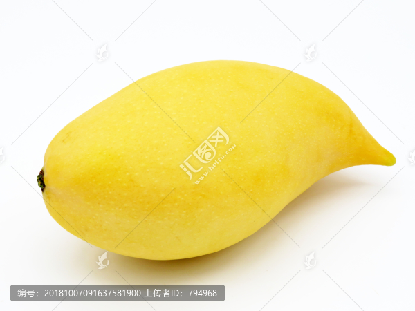 鷹嘴芒