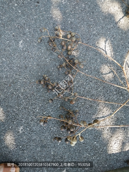 果
