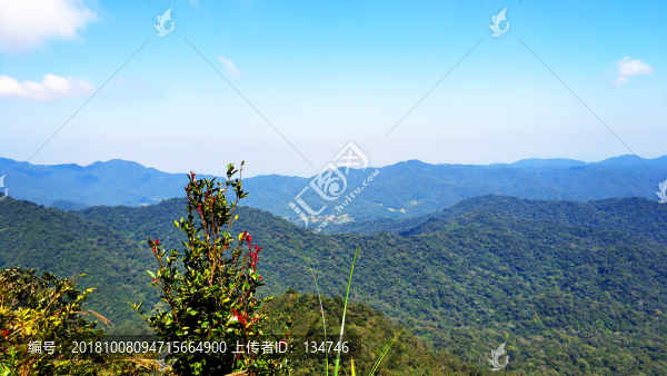 山脈