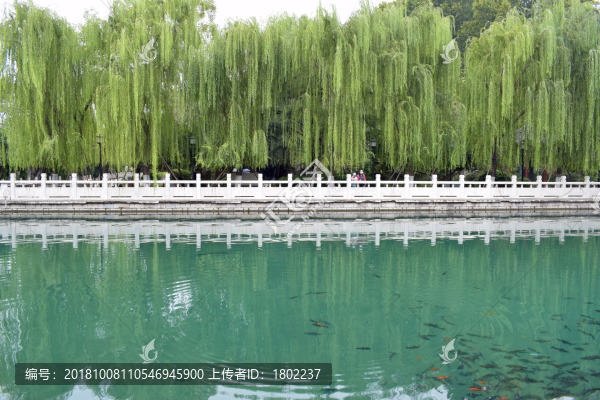 岸邊欄桿