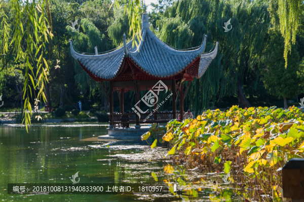 陶然亭公園
