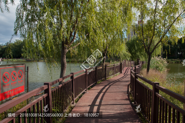 紅領(lǐng)巾公園