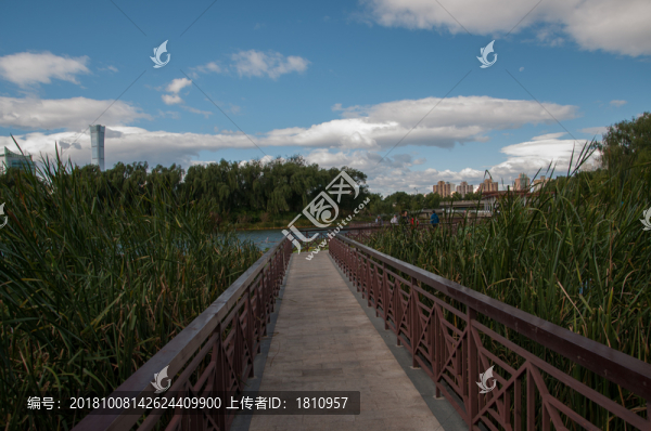 紅領(lǐng)巾公園