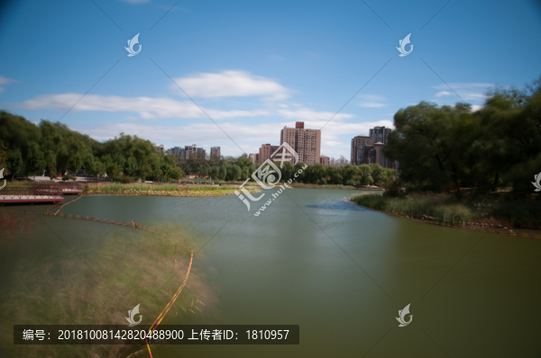 紅領巾公園