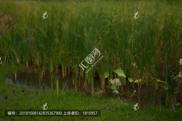 紅領(lǐng)巾公園