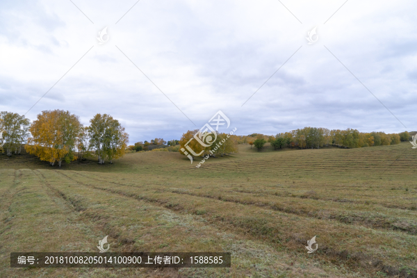 自然風(fēng)景