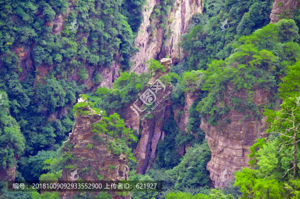 高山