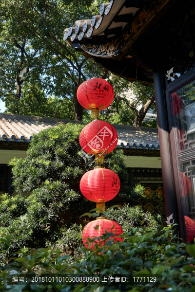 紅燈籠