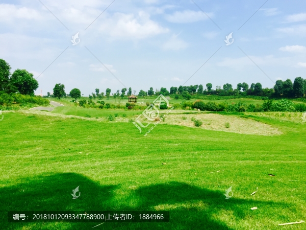 高爾夫景觀