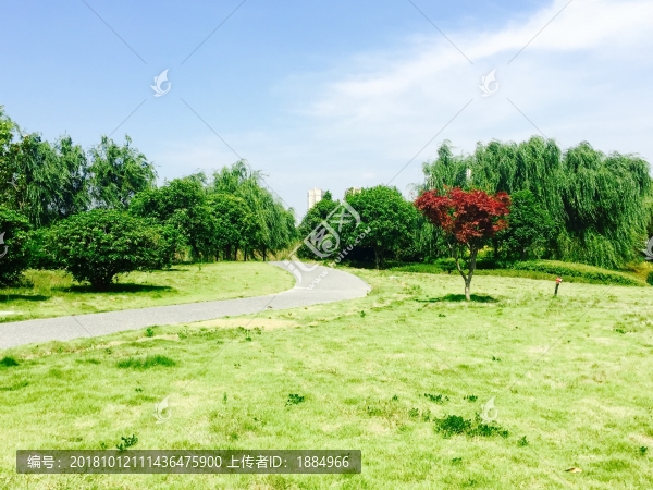 美麗的長沙洋湖體育公園