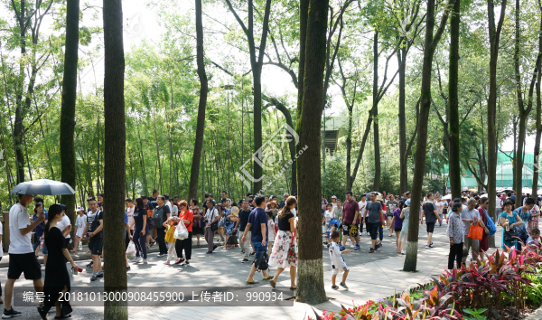 大熊貓繁育研究基地