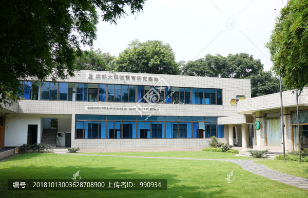 成都大熊貓繁育基地
