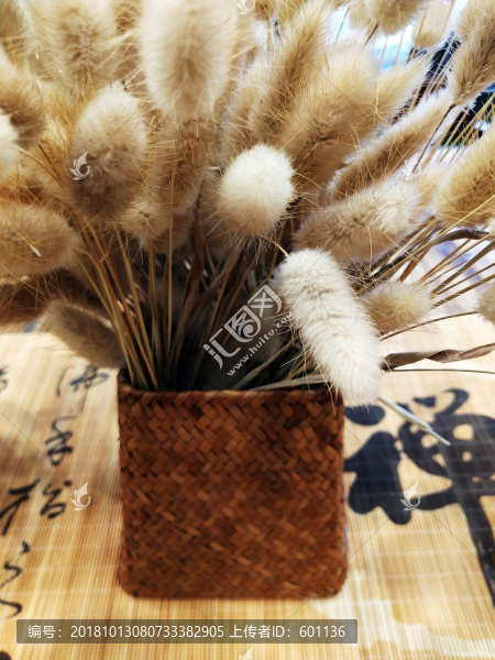 干草背景實拍
