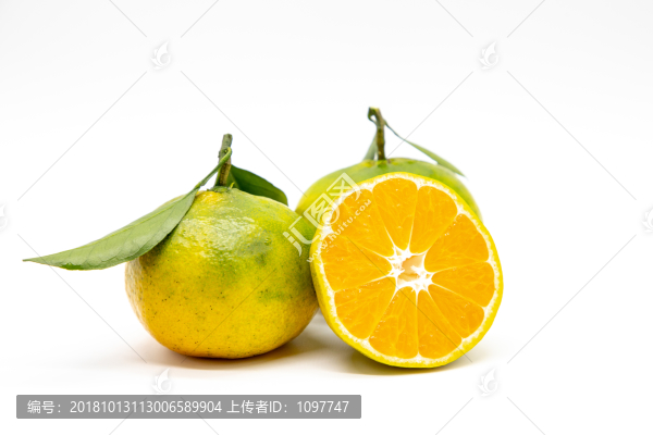 蜜橘